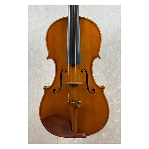 Violin, Giuseppe Barberi, Forte dei Marmi 1985