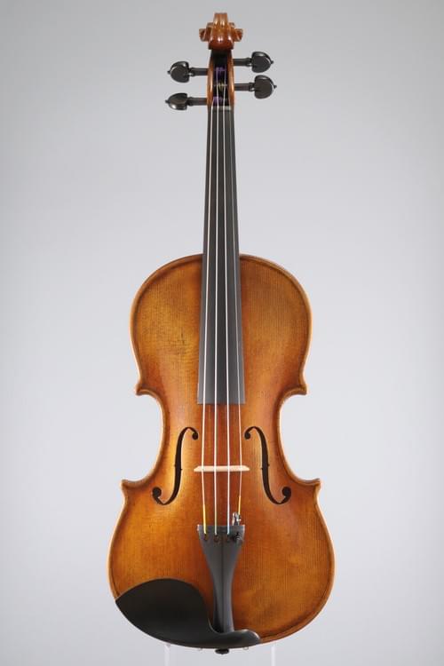 Violin, Nicolo Santi NSN110