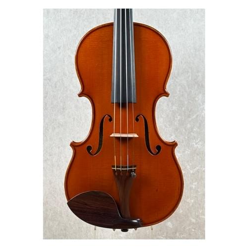 Violin, Maurizio Spignoli, Bologna 1987/88