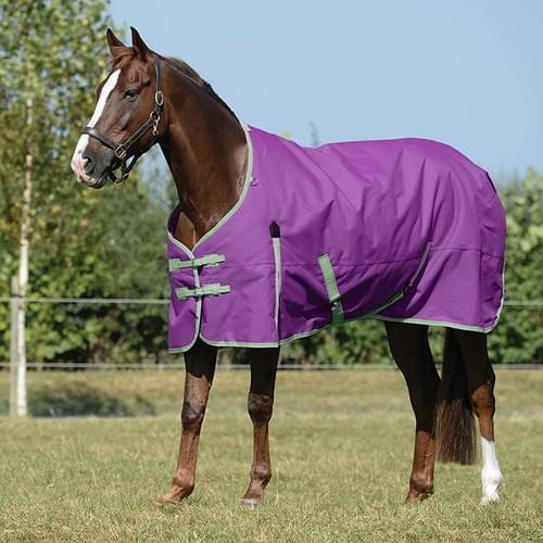 Horse Rugs Winter Waterproof Essential Standard Neck Blanket for Horses