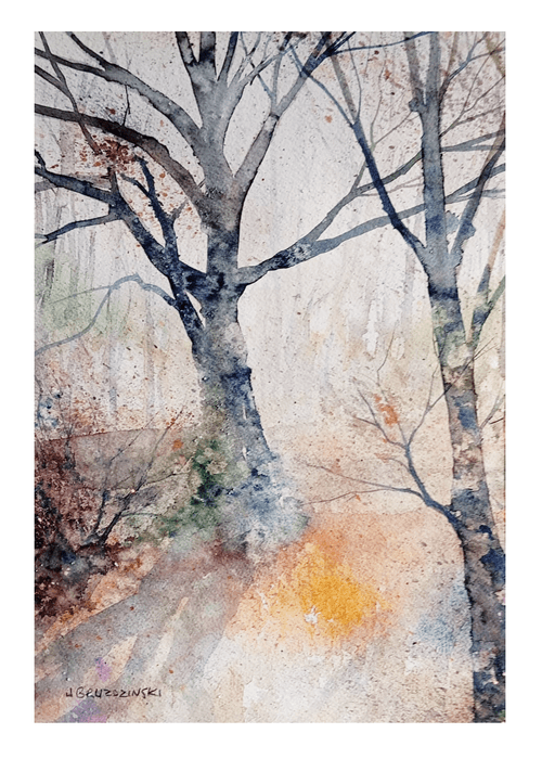 Whispers Between Trees