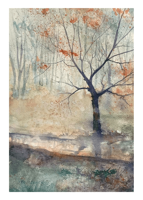 Stream Through the Stillness