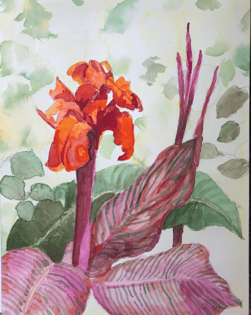 "Cana Flower" watercolor painting limited edition signed print