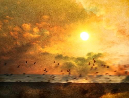 Dawn