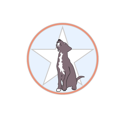 5 STAR Dog Holistic Evaluation