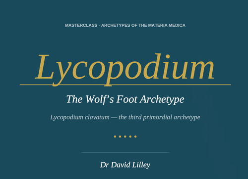 Lycopodium — Archetypes of the Homeopathic Materia Medica Dr David Lilley · Masterclass Series