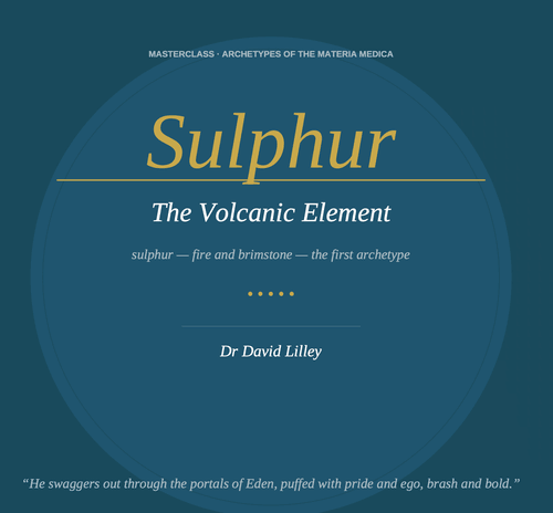 Sulphur — Archetypes of the Homeopathic Materia Medica Dr David Lilley · Masterclass Series