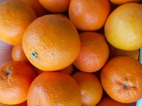 Oranges à Jus sanguine bio au Kg