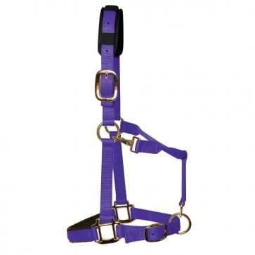 KM Elite, Padded Head Collar Purple