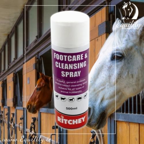 Ritchey Footcare & Cleansing Spray 500ml