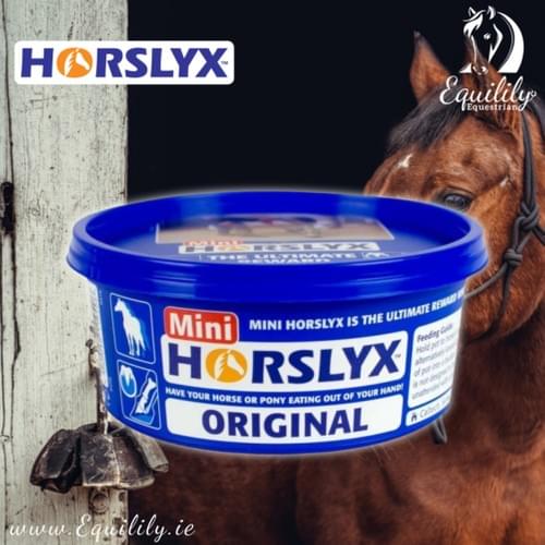Horslyx Original / Mint /Garlic Lick Mini 650g
