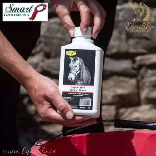 Smart Grooming | Peppermint Splosh Wash| 500ml