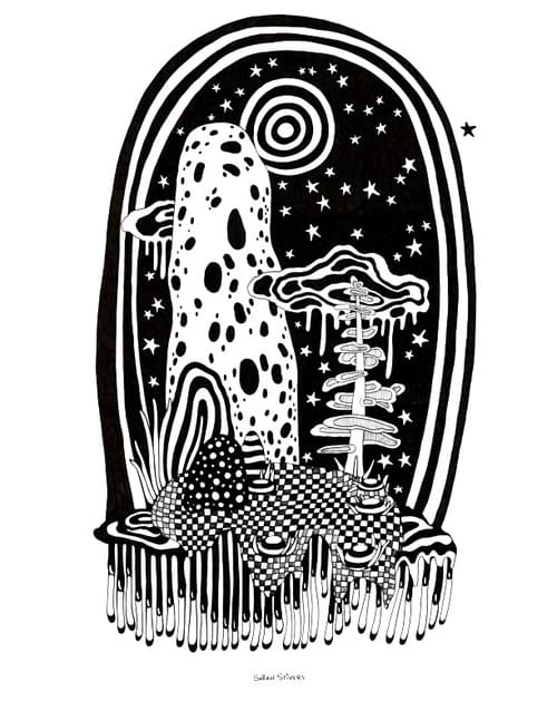 World of Halucinations Signed Print 12 x 16 inches