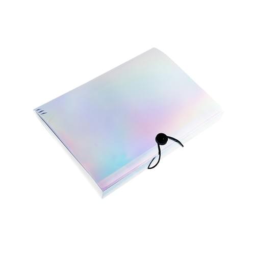 LS-MFO-111 Plastic Solid Laser Expanding File Organizer File