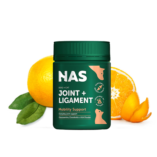 【NAS】 Joint&Ligament Support 關節保健 120g