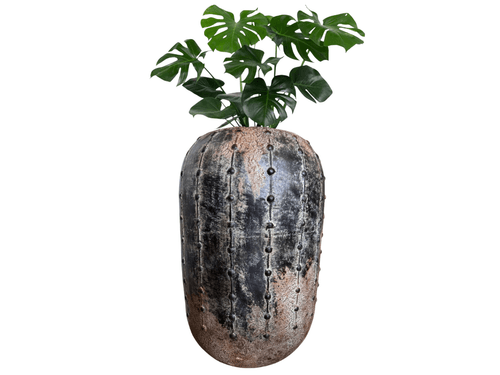 Maceta Cactus