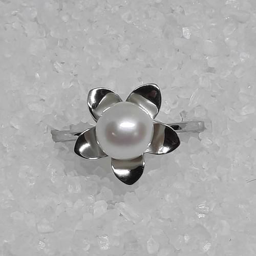 Jordyn Ring