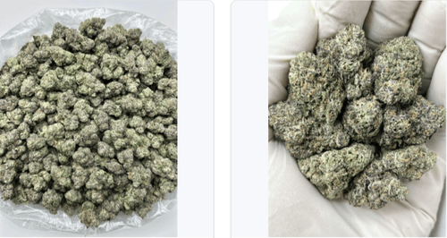 Purple Rain Big (H0D7-VD)