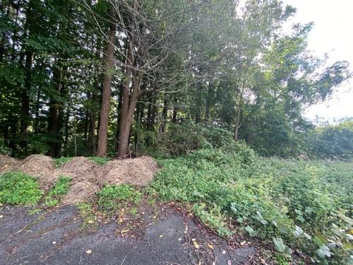 ◻︎L-3-107◻︎400万円◻︎土地のみ◻︎日常から離れ、蒜山の自然を感じられる土地