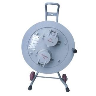 1. Explosion-Proof Maintenance Power Socket Box