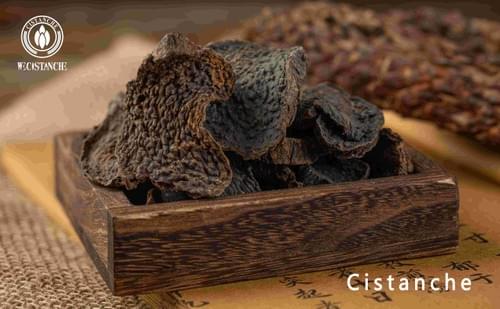 Cistanche (Rou Cong Rong): A Cistanche (Rou Cong Rong): A