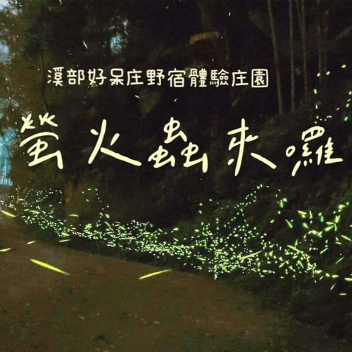 螢火蟲來囉!溪頭親親大自然~溪部好呆庄懶人露營生態走讀戲水.鹿芝谷萌寵園區2日