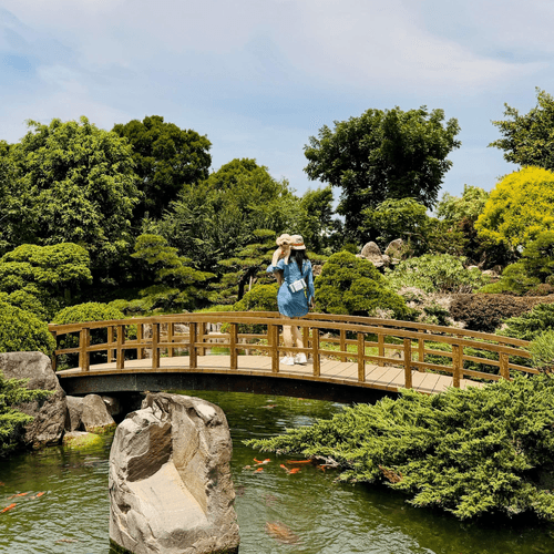快閃彰化!毛寶貝旅遊限定!最美日式庭院成美文化園.森林系唯美落羽松餐廳菁芳園1日