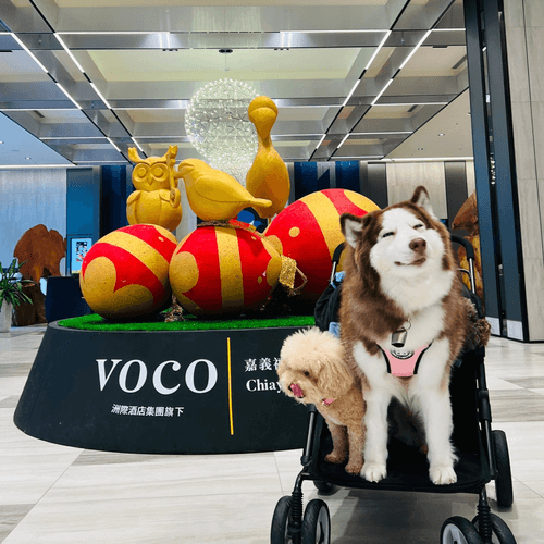全新IHG洲際集團五星嘉義福容VOCO~圍爐煮茶.最美雙龍瀑布七彩吊橋.精緻燒肉3日