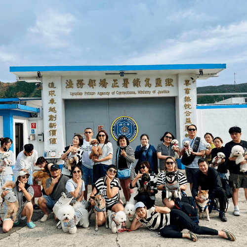 山與海之歌~東帶我去綠島!帆船鼻大草原.燈塔監獄.秘境黃金稻浪.私廚烤肉.好評美宿4日