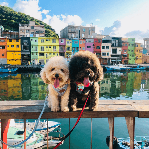 超CHILL基隆~台版威尼斯彩色屋遊艇包船下午茶.超酷隱藏版海鮮辦桌.最新基隆塔1日