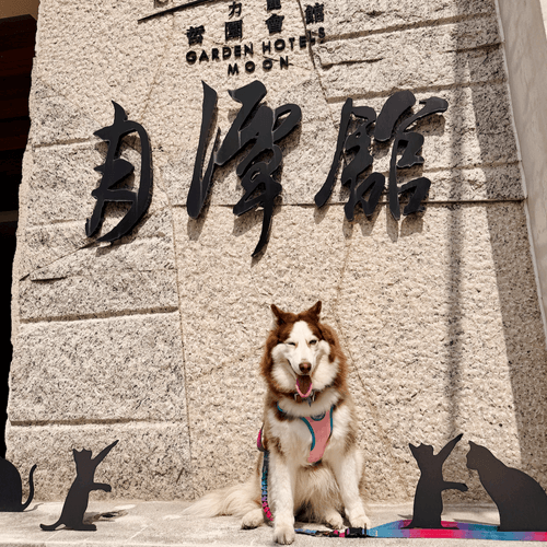 慢遊最美日月潭!季節限定七彩金針花.超人氣阿爸食堂.水豚君享日啡啡.力麗哲園飯店2日