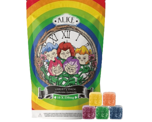 Alice Mushroom Gummy - Variety Pack Gummy 2500mg
