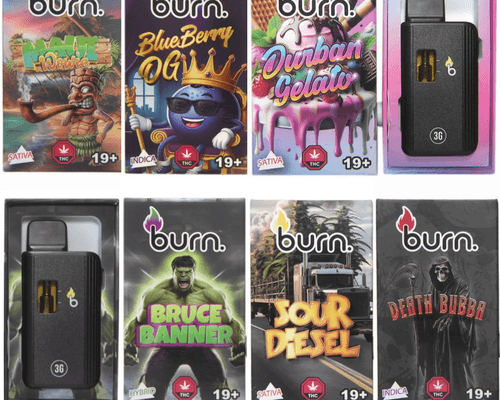 BURN - DIsposable Vapes 3g - Options Available