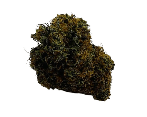 GELATO (New batch) up to 23% THC Budget Weed | $70/oz - $130/2oz $180/3oz|