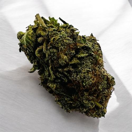 Atomic Blueberry |Indica 26% Thc | $100/oz |