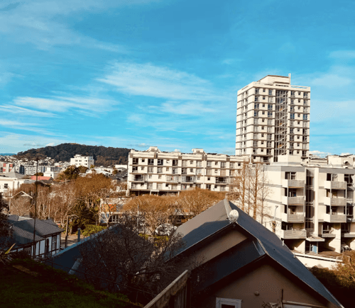 Aro Valley -semi inner city gem with a patio