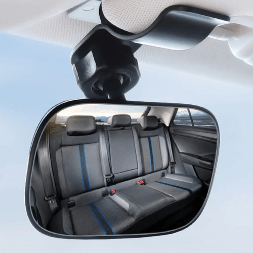 Pro-Vision 360 Wide-Angle Interior Monitor