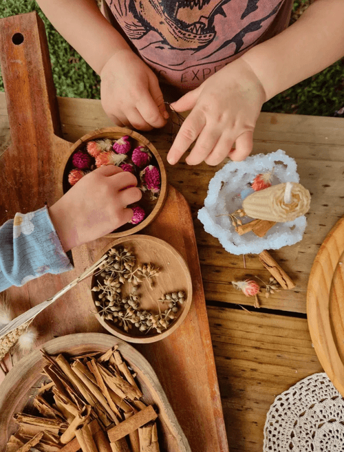 柚木小碟(Teak Dishes)單件組