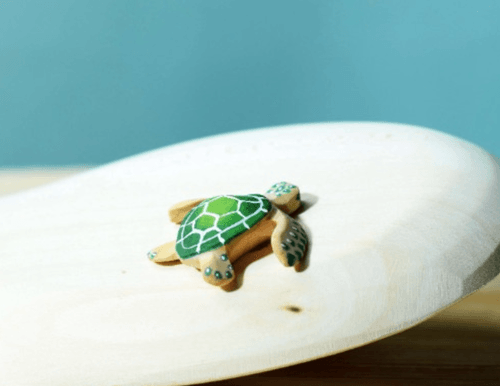 Baby sea turtle 小海龜