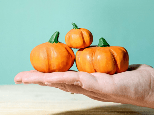Pumpkin SET 南瓜三件組