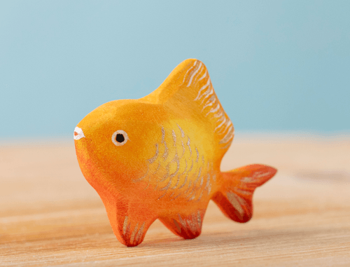 Golden Fish 小金魚
