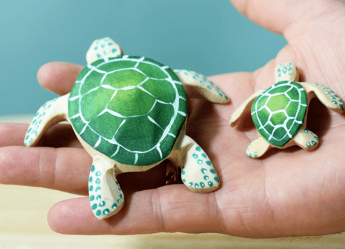 Sea Turtle 大海龜