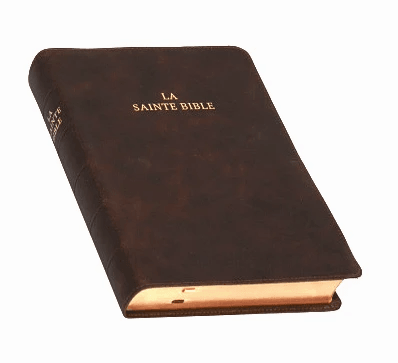 LA SAINTE BIBLE grand format cuir brun retourné tranche dorée version Darby