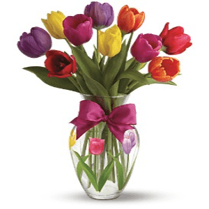 TULIPANI COLORATI 1