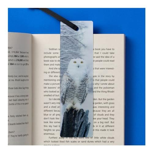 3D動物書籤|逼真動物書籤,寫有英文動物小知識