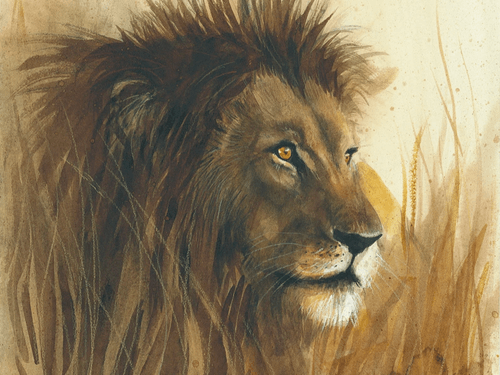Le Lion