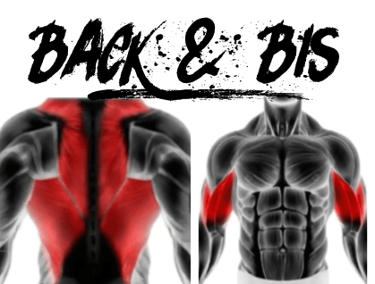 BACK & BIS WORKOUT LEVEL 1-3 HOME PROGRAM
