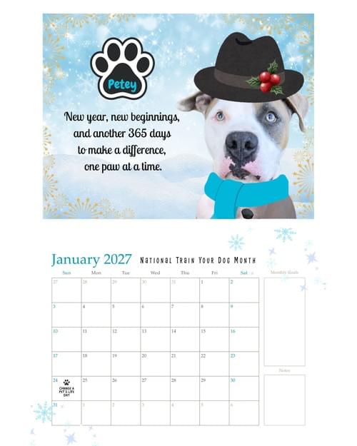 2027 Speak for the Voiceless Rescue Calendar- SINGLE PAGE PDF