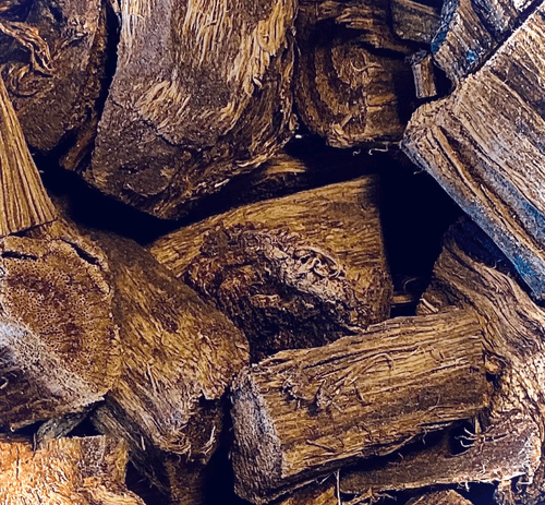 CAPADULLA (Doliocarpus dentatus) by case