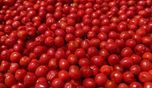 CHILTEPIN CHILE PEPPER CASE 25 LBS